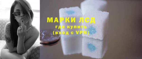 индика Богданович